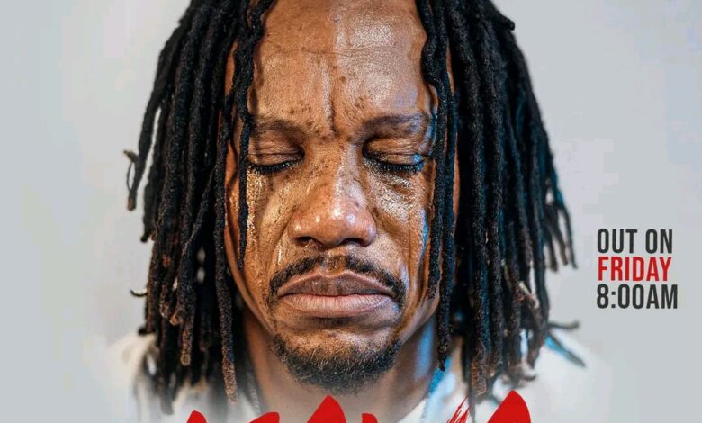 Dan Lu - Mawa mp3 download