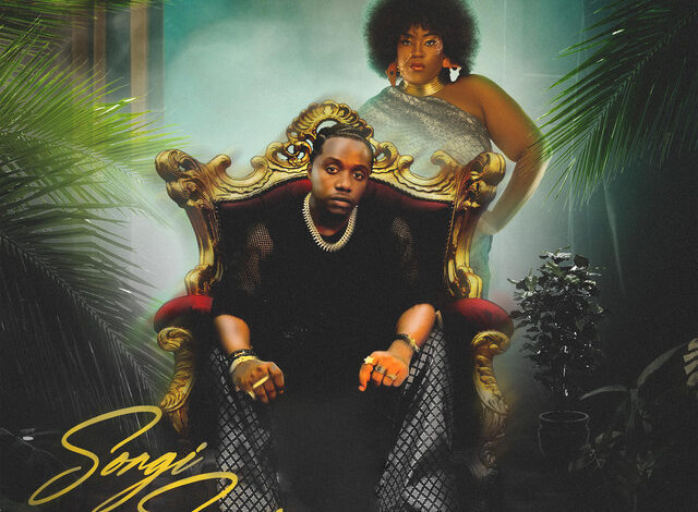 Rayvanny - Songi Songi ft Salima Chica mp3 Download