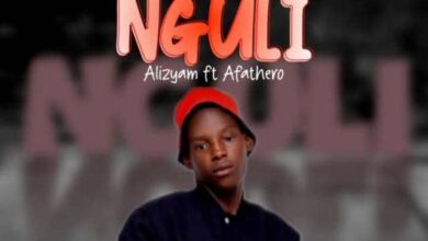 Alizyam - Nguli ft Afathero mp3 Download