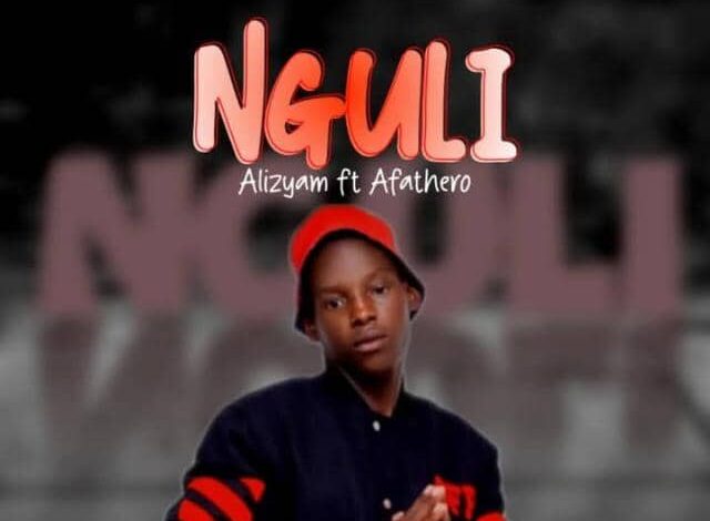 Alizyam - Nguli ft Afathero mp3 Download