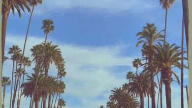 Roberto - Teti Ntwishike mp3 Download