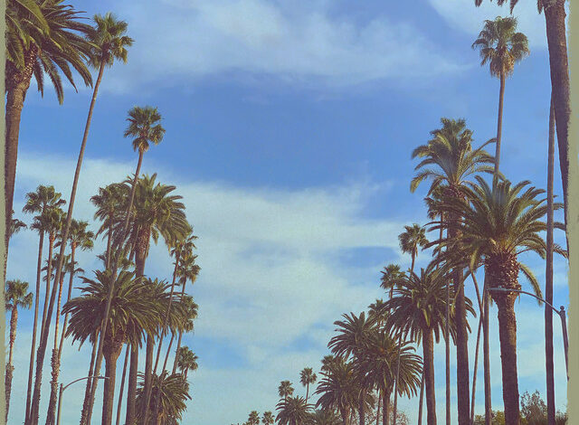 Roberto - Teti Ntwishike mp3 Download