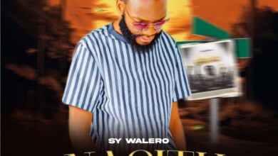 SY Walero - Anasintha mp3 Download