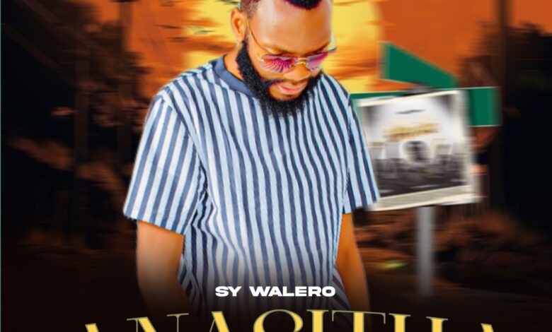 SY Walero - Anasintha mp3 Download