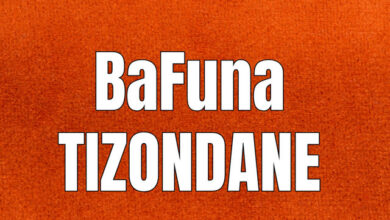 Yo Maps x DayVee - Bafuna Tizondane mp3 Download