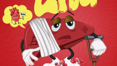 Loiso - Liva mp3 Download