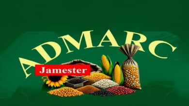 Jamester - Admarc mp3 Download