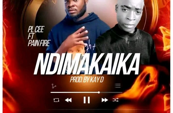 P L Cee Mw - Ndimakaika ft Pain Fire mp3 Download