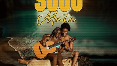 Energizer - Soul Mate ft Gwanta